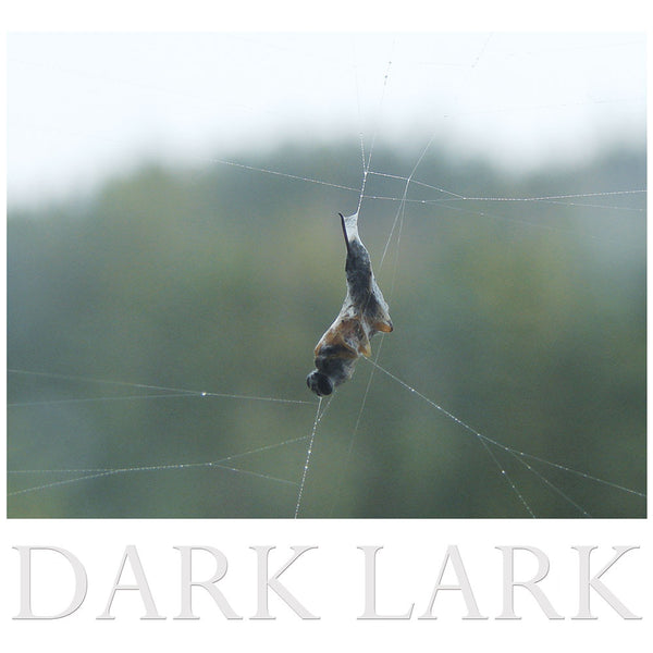 Construction & Destruction - Dark Lark