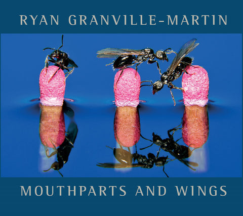 Ryan Granville-Martin - Mouthparts and Wings