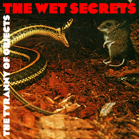 The Wet Secrets - The Tyranny of Objects