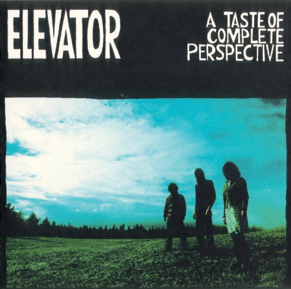 Elevator - A Taste of Complete Perspective